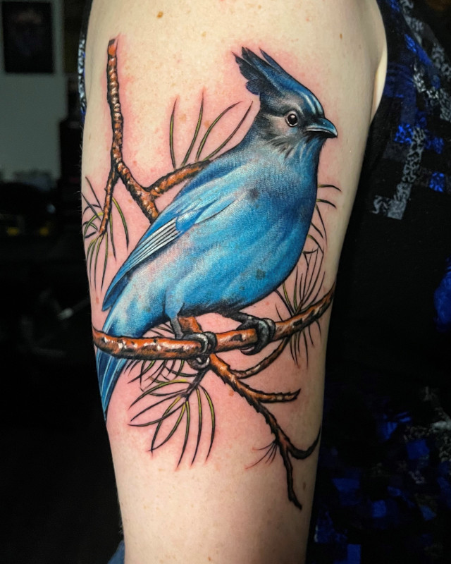 Full color tattoo of a bluebird on a branch by Shaine Smith of Sacred Mandala Studio.