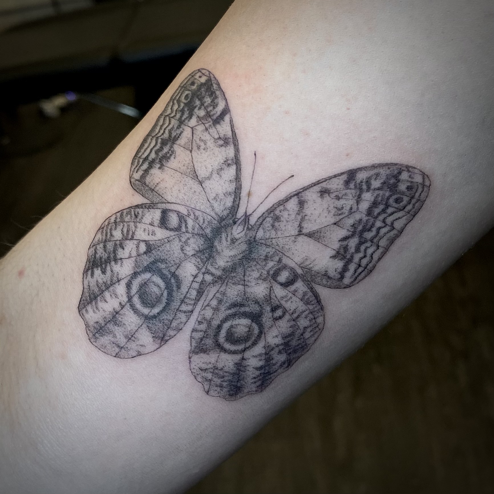 Black and grey detailed tattoo of a moth tattooed by Sarah Cherney of Sacred Mandala Studio.