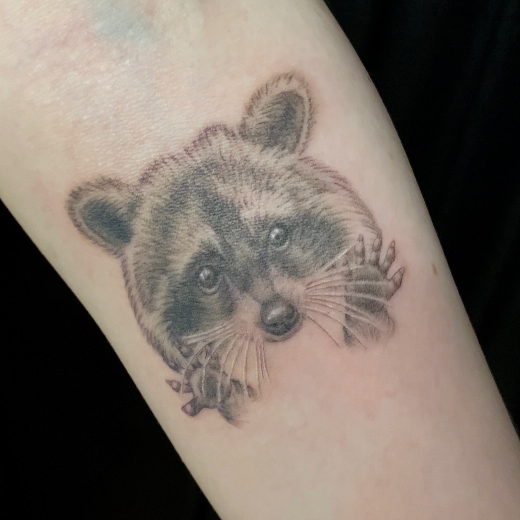 Sacred Mandala Studio tattoo artist - Sarah Cherney - black and grey tattoo of a realistic raccoon face and paws